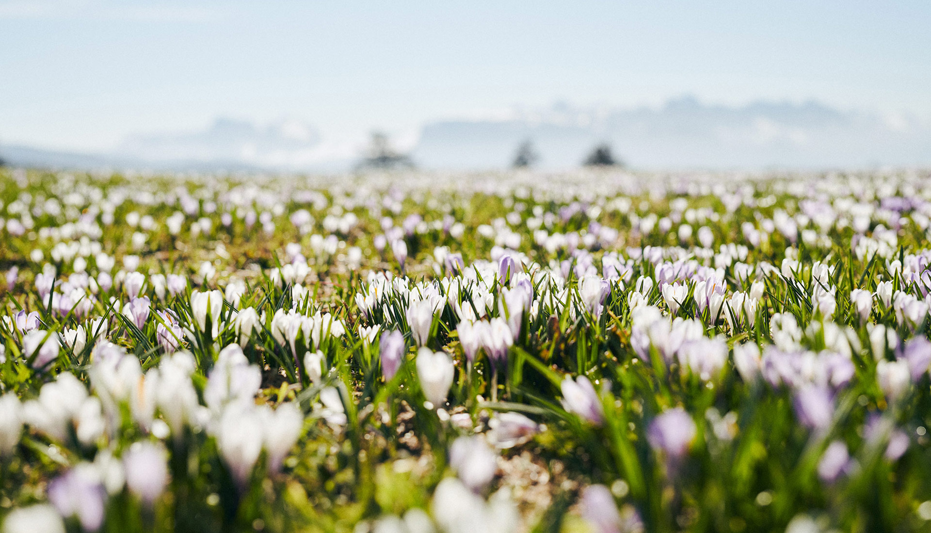 bauernhofurlaub in villnoess ferienhaus in den dolomiten proihof Natururlaub in Südtirol – Urlaub in der Natur bauernhofurlaub in villnoess ferienhaus in den dolomiten proihof Natururlaub in Südtirol – Urlaub in der Natur