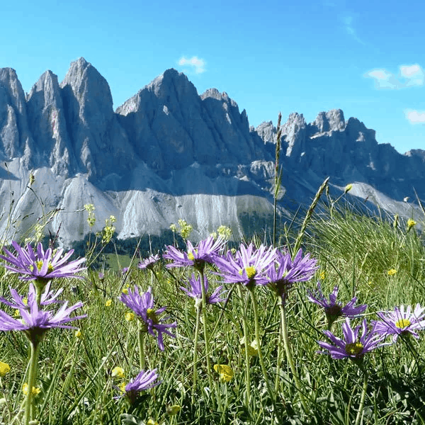 st magdalena villnoess villnoesser tal eisacktal proihof urlaub natur 01 st magdalena villnoess villnoesser tal eisacktal proihof urlaub natur 01