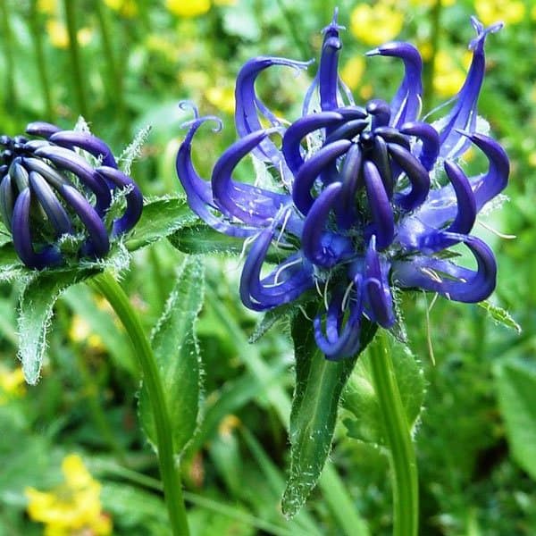 st magdalena villnoess villnoesser tal eisacktal proihof urlaub natur 06 st magdalena villnoess villnoesser tal eisacktal proihof urlaub natur 06