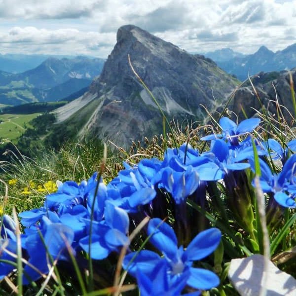 st magdalena villnoess villnoesser tal eisacktal proihof urlaub natur 07 st magdalena villnoess villnoesser tal eisacktal proihof urlaub natur 07