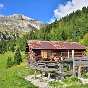 Our alpine pasture